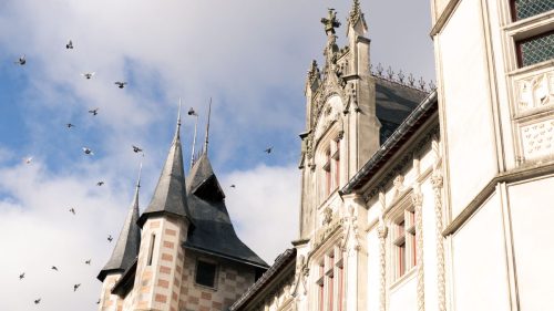 NWS28-081125-SgambatoMateo-0004