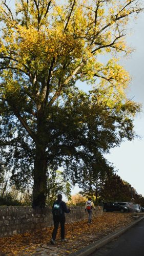 NWS28-081125-SgambatoMateo-0046