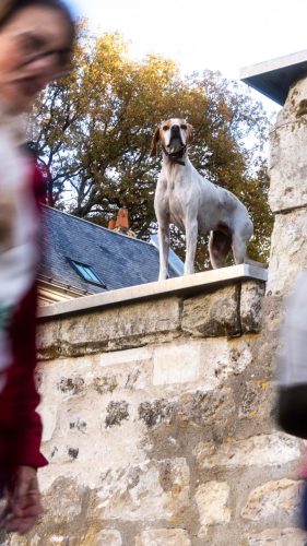 NWS28-081125-SgambatoMateo-0052