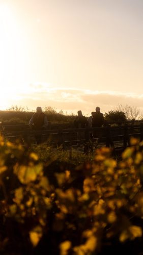 NWS28-081125-SgambatoMateo-0061