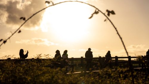 NWS28-081125-SgambatoMateo-0063