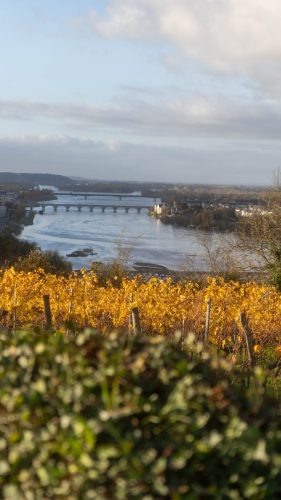 Presse-NWS28-081125-SgambatoMateo-0159