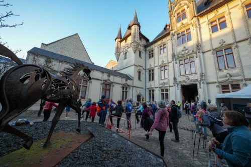 Presse-NWS28-081125-SgambatoMateo-0214