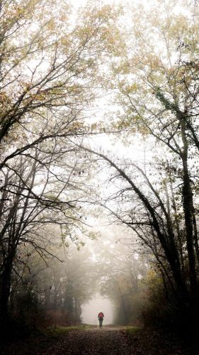 NWS28-091125-SgambatoMateo-0044