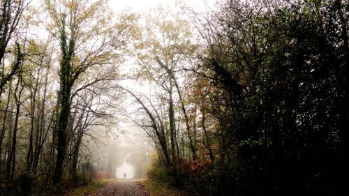 NWS28-091125-SgambatoMateo-0046