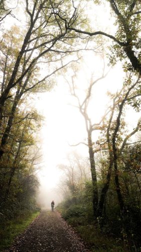 NWS28-091125-SgambatoMateo-0048