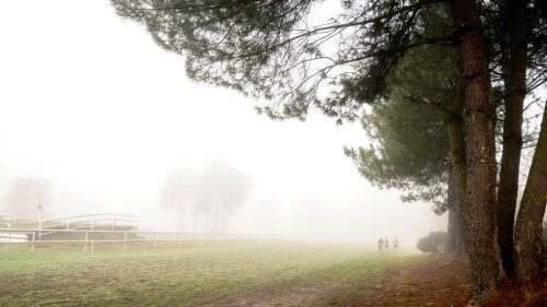 NWS28-091125-SgambatoMateo-0051