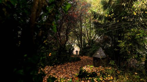 NWS28-091125-SgambatoMateo-0058