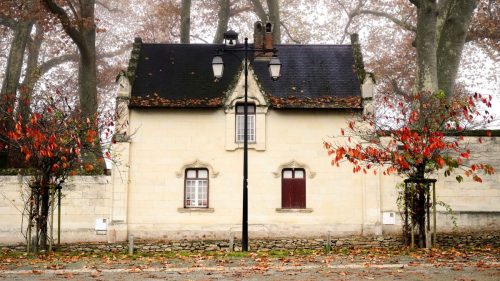 NWS28-091125-SgambatoMateo-0063