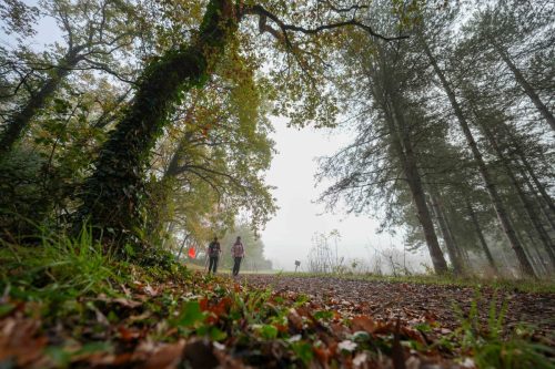 Presse-NWS28-091125-SgambatoMateo-0302