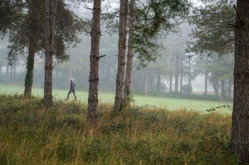 Presse-NWS28-091125-SgambatoMateo-0309