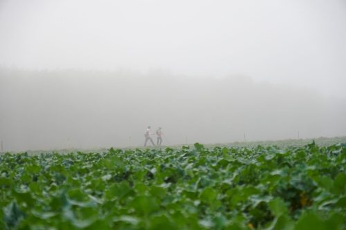 Presse-NWS28-091125-SgambatoMateo-0320