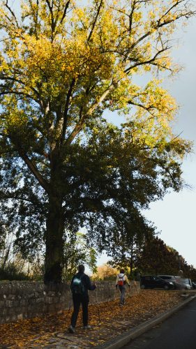 Presse-NWS28-081125-SgambatoMateo-0046