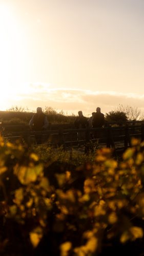 Presse-NWS28-081125-SgambatoMateo-0061