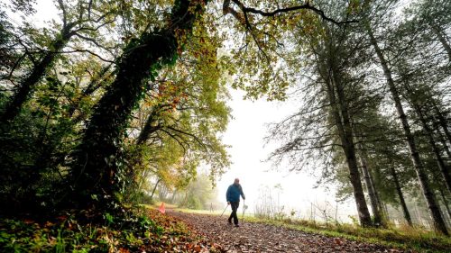 Presse-NWS28-091125-SgambatoMateo-0034