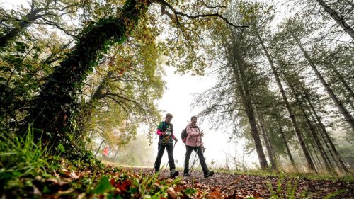 Presse-NWS28-091125-SgambatoMateo-0035