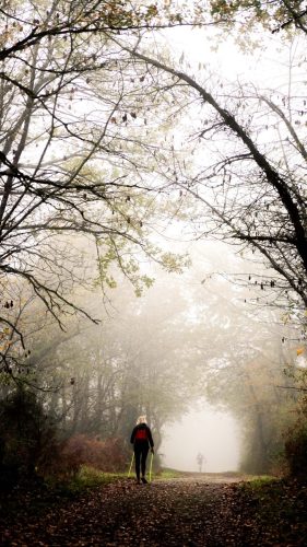 Presse-NWS28-091125-SgambatoMateo-0043