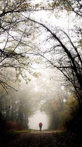 Presse-NWS28-091125-SgambatoMateo-0045